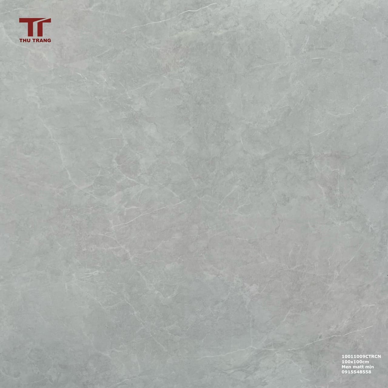 GẠCH VÂN ĐÁ KHỔ LỚN TRUNG QUỐC 100M1109CTRCN (100x100cm)