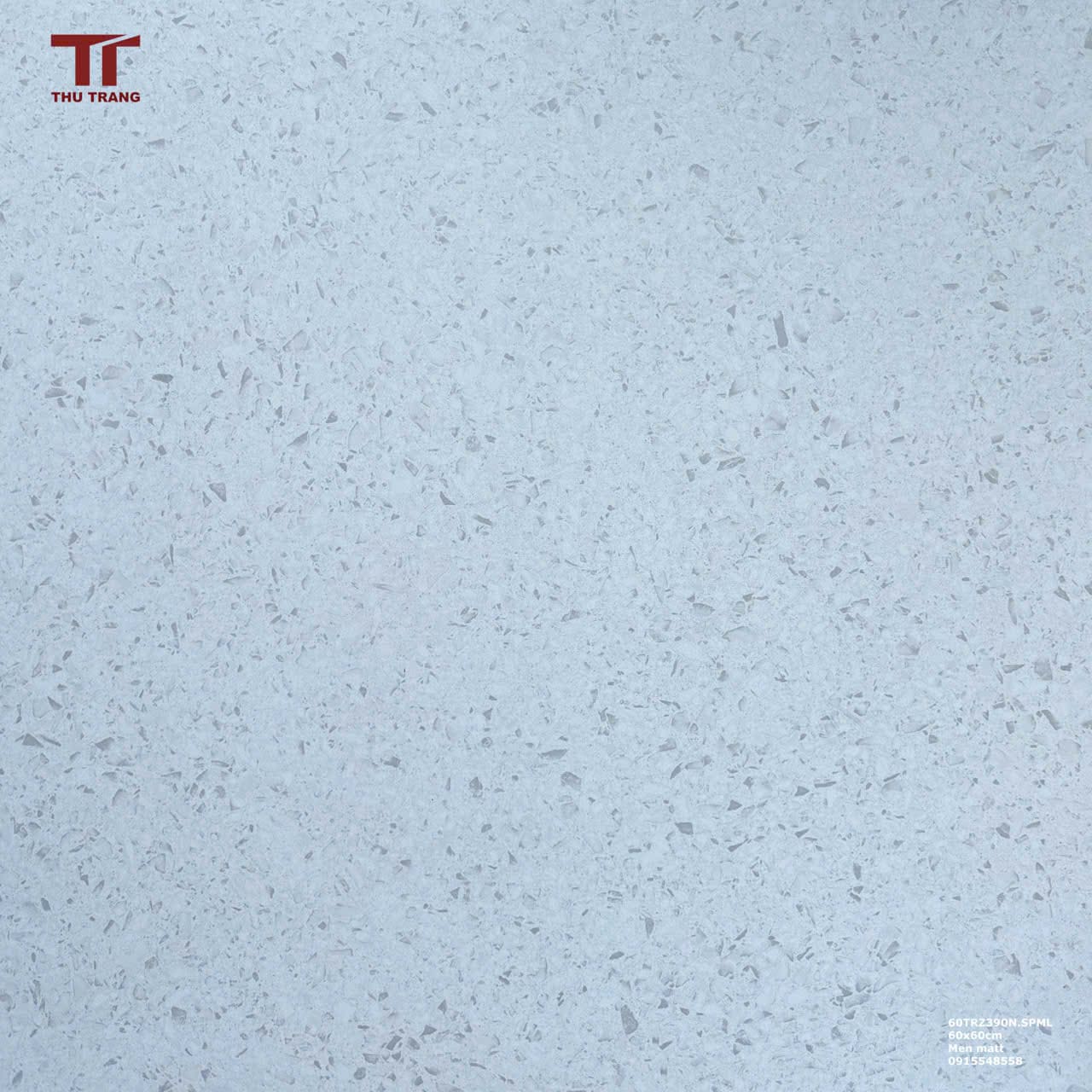 GẠCH TERRAZZO MALAYSIA 60TRZ399N.SPML (60x60cm )
