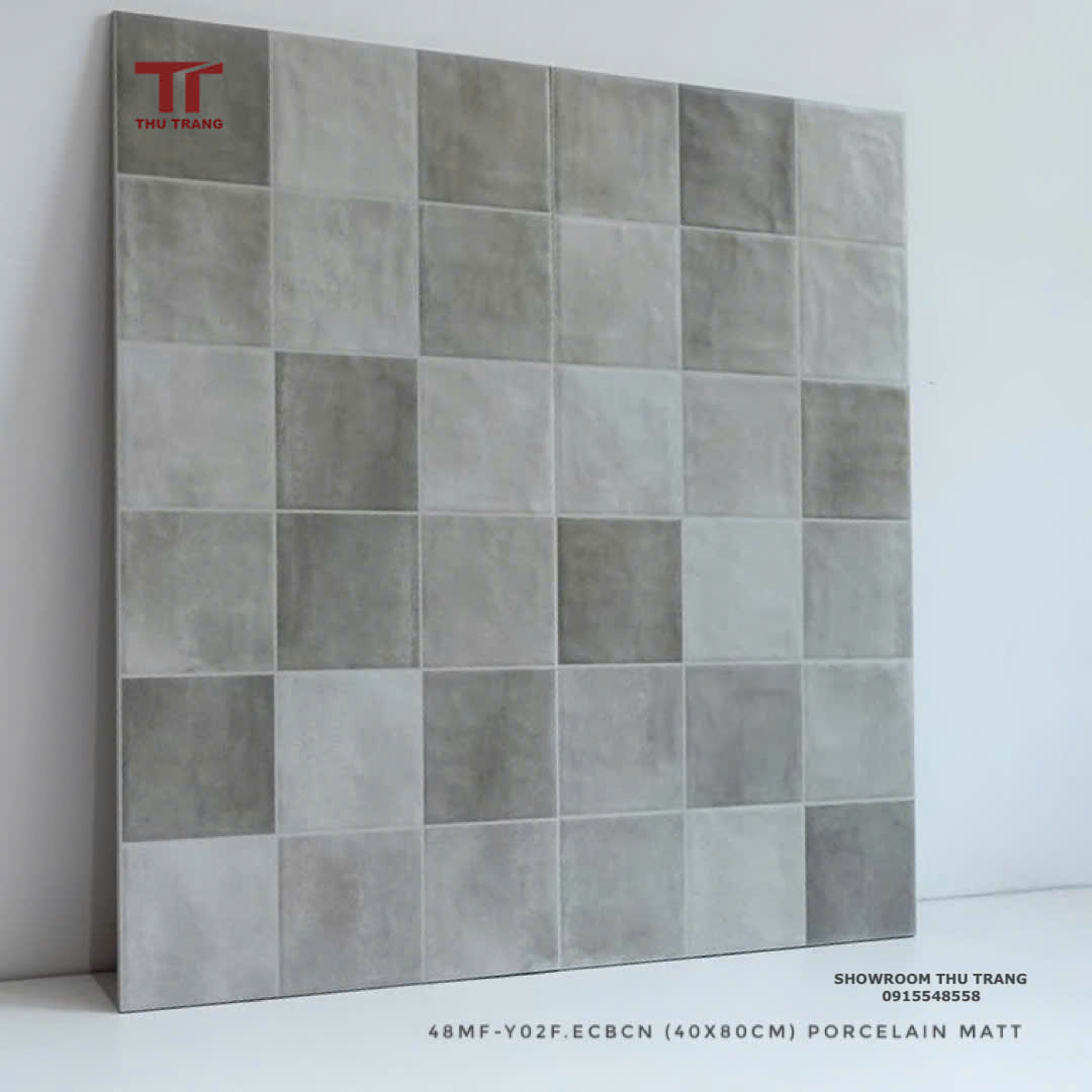 GẠCH TRANG TRÍ GIẢ CỔ TRUNG QUỐC 48MF-Y02F.ECBCN (40x80cm)