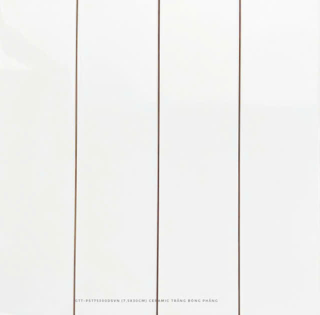 GẠCH THẺ TRANG TRÍ SUBWAY PSTA75300 (7,5x30cm)