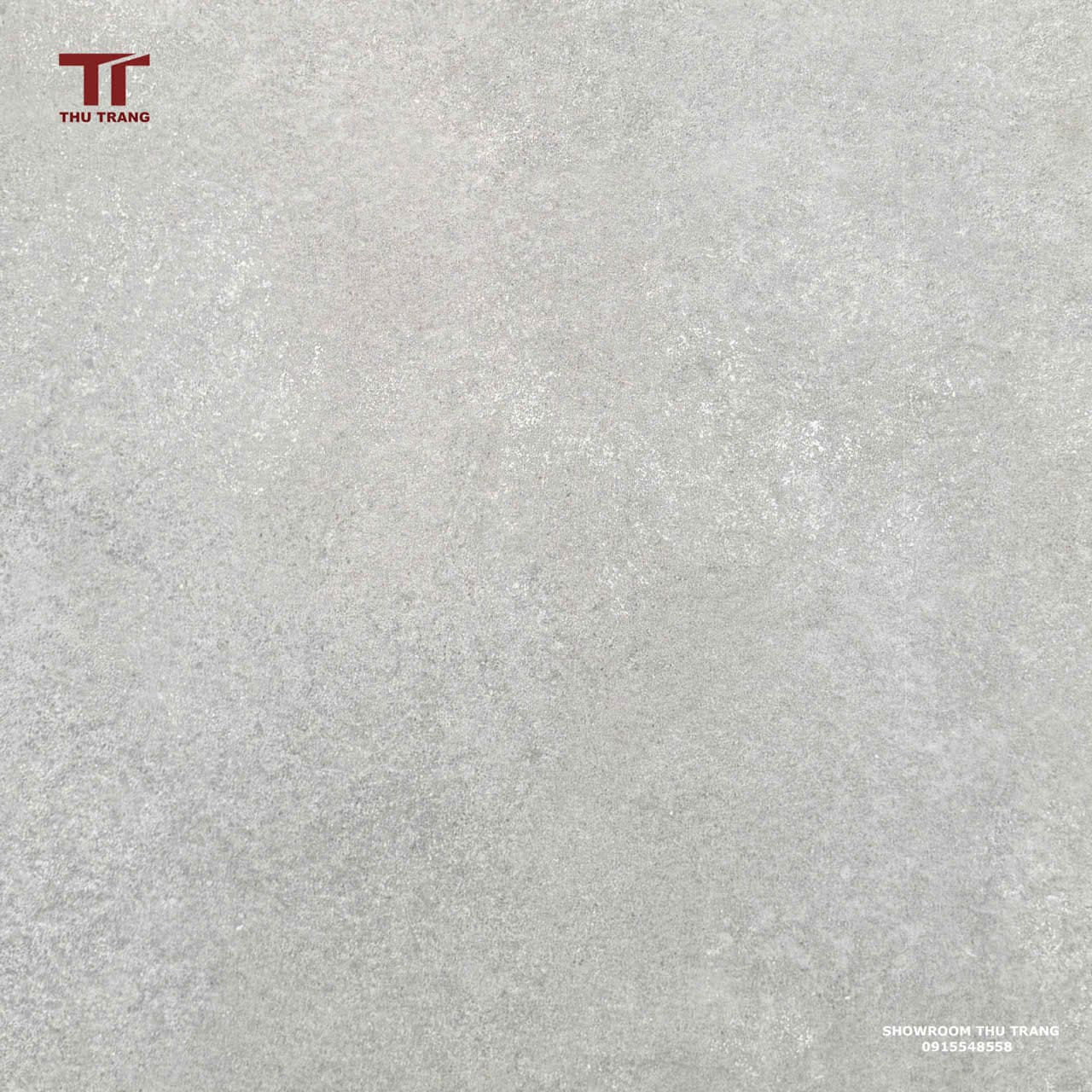 GẠCH VÂN XI MĂNG ẤN ĐỘ 60MESTSI.TSPID (60x60) -R10