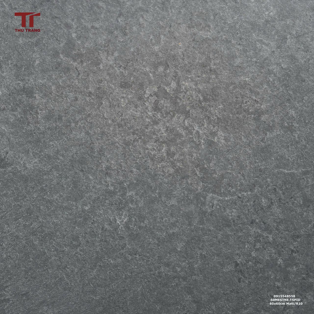 GẠCH VÂN XI MĂNG ẤN ĐỘ 60MESTNE.TSPID (60x60) -R10