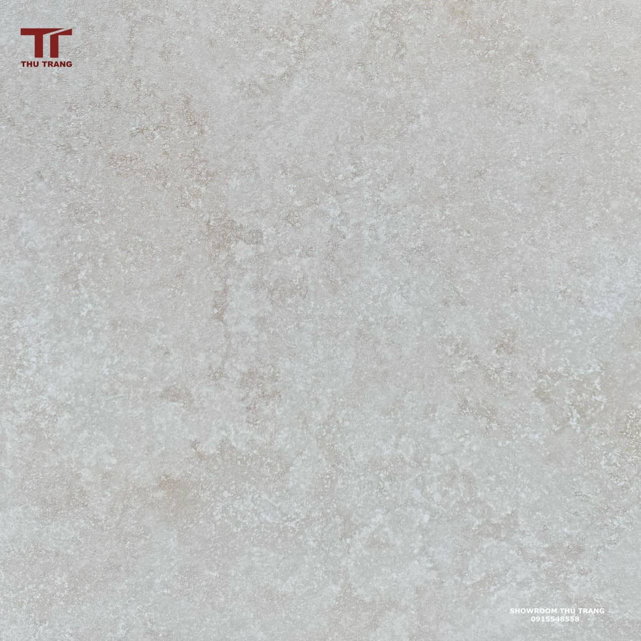 GẠCH VÂN ĐÁ ẤN ĐỘ 60ROIV.DDID (60x60cm) - FULLBODY