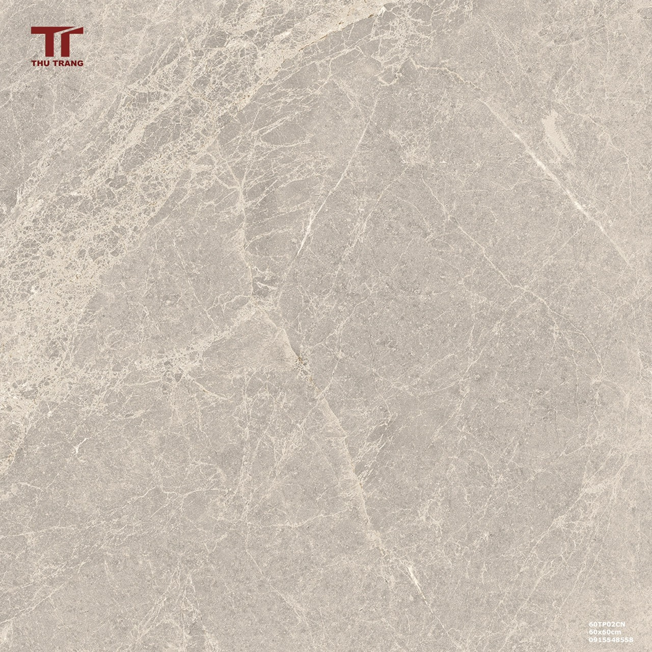 GẠCH VÂN ĐÁ TRUNG QUỐC 60TP602HNCN (60x60cm