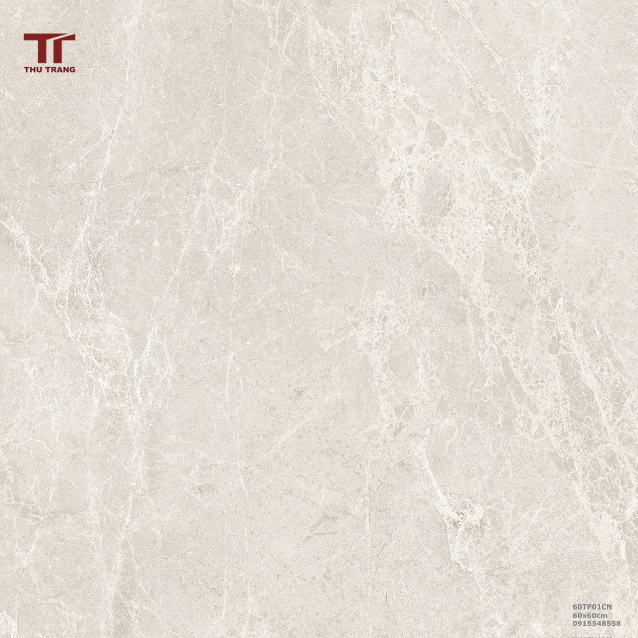 GẠCH VÂN ĐÁ TRUNG QUỐC 60TP601HNCN (60x60cm