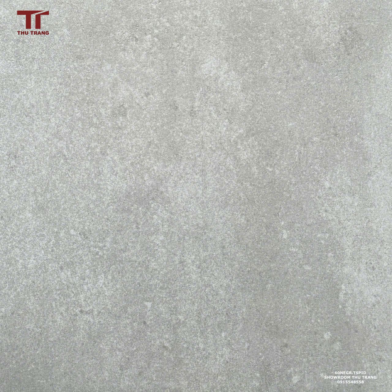 GẠCH VÂN ĐÁ ẤN ĐỘ 60NEGR.TSPID (60x60cm) - FULLBODY