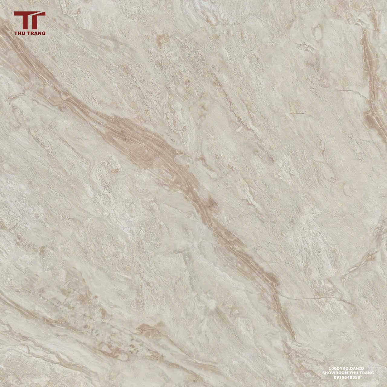 GẠCH VÂN ĐÁ ẤN ĐỘ 100DIRODHAID (100x100cm)