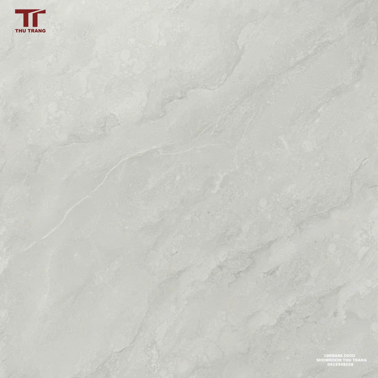 GẠCH VÂN ĐÁ XƯƠNG TRẮNG KHỔ LỚN ẤN ĐỘ 100NABE.DDID (100x100cm)