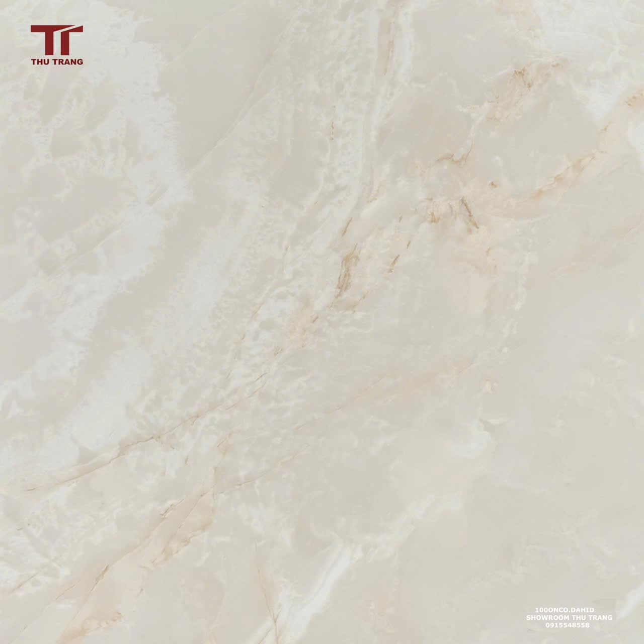 GẠCH VÂN ĐÁ ẤN ĐỘ 100ONCODHAID (100x100cm)