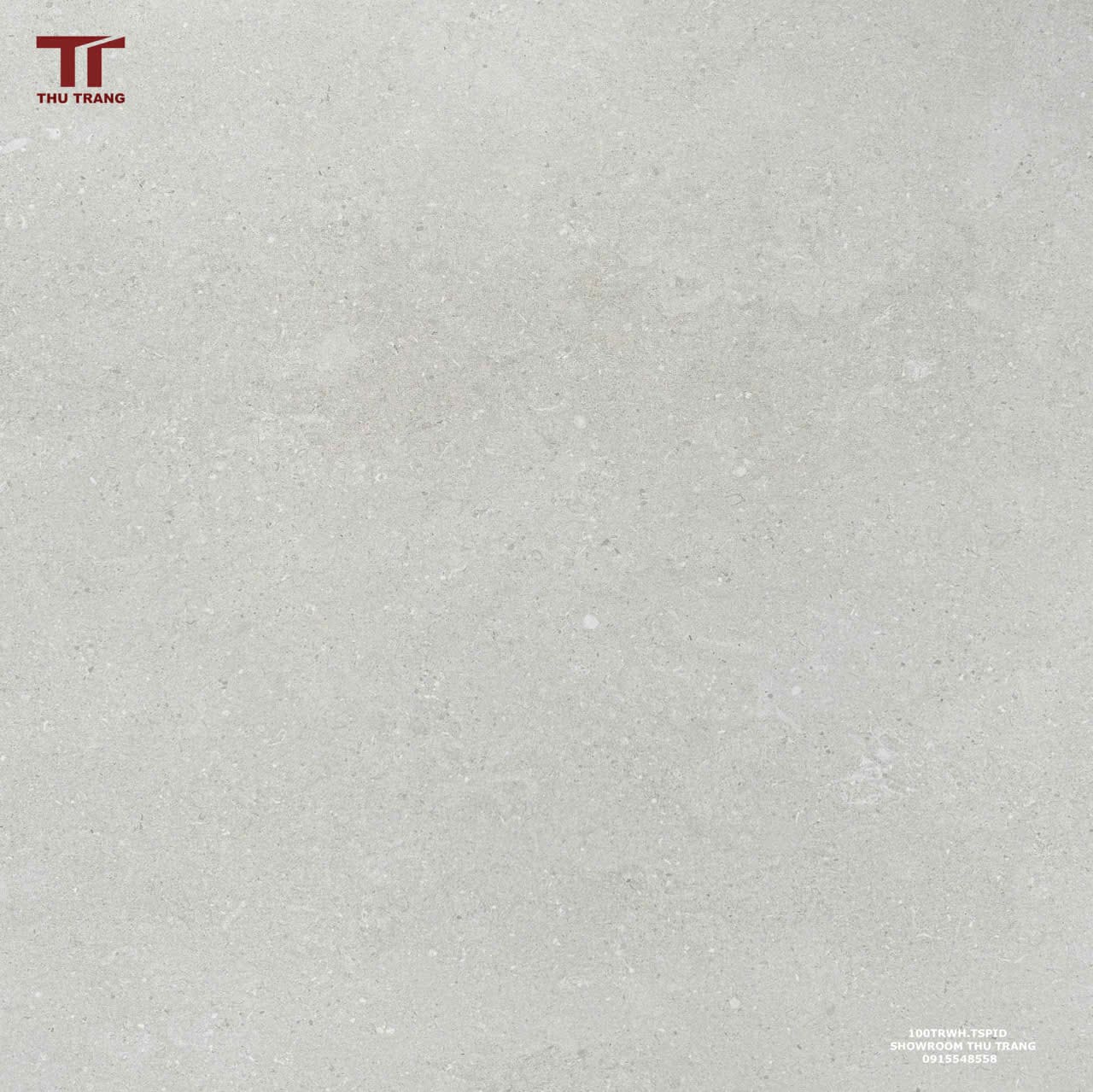GẠCH VÂN XI MĂNG KHỔ LỚN ẤN ĐỘ 100TRWH.TSPID (100x100cm)