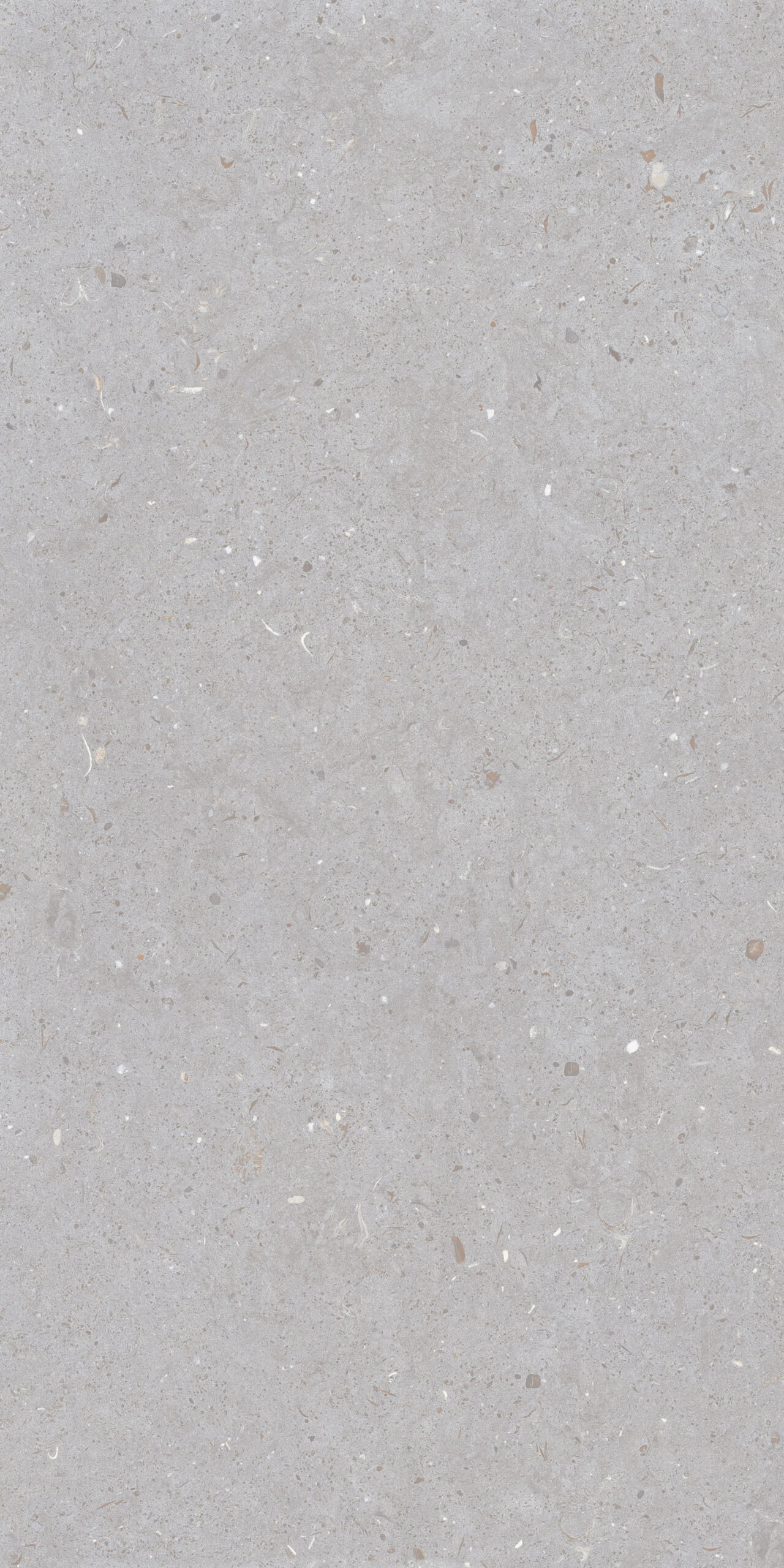 GẠCH VÂN TERRAZZO ẤN ĐỘ 612FODO.TSPID ( 60x120;MATT STRONG )