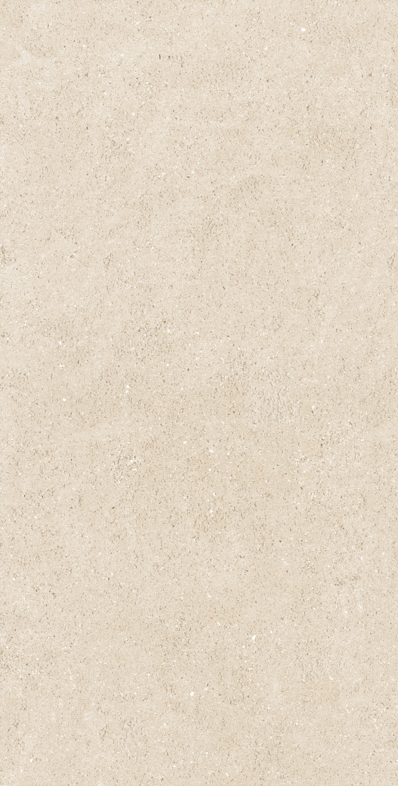 GẠCH VÂN XI MĂNG ẤN ĐỘ 612SUST.TSPID (60X120cm)