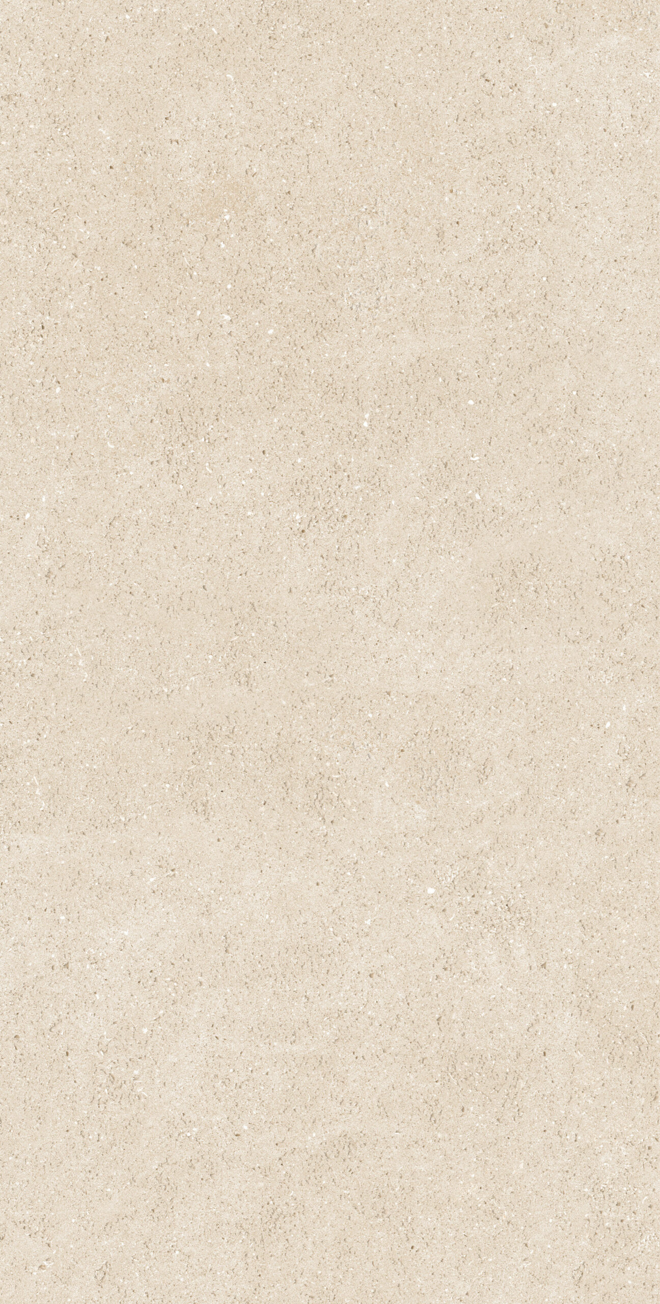 GẠCH VÂN XI MĂNG ẤN ĐỘ 612SUST.TSPID ( 60x120cm)