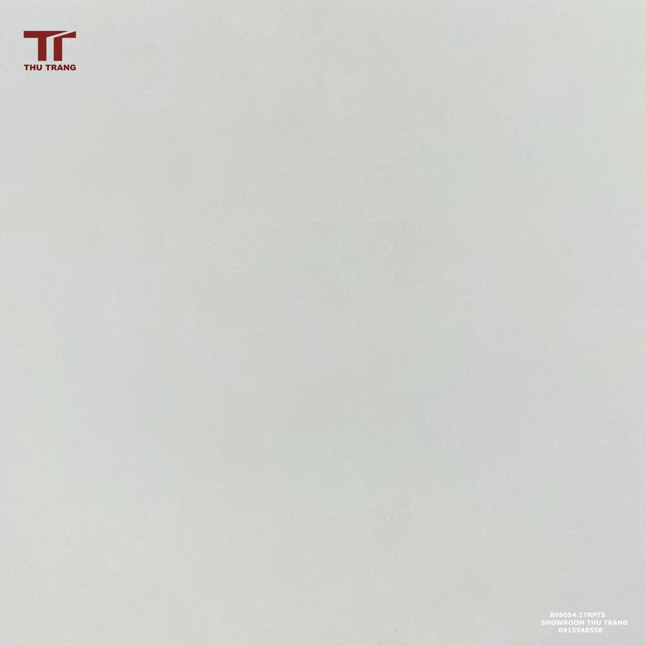 GẠCH VÂN ĐÁ 809054.1TRPTS (80x80cm)