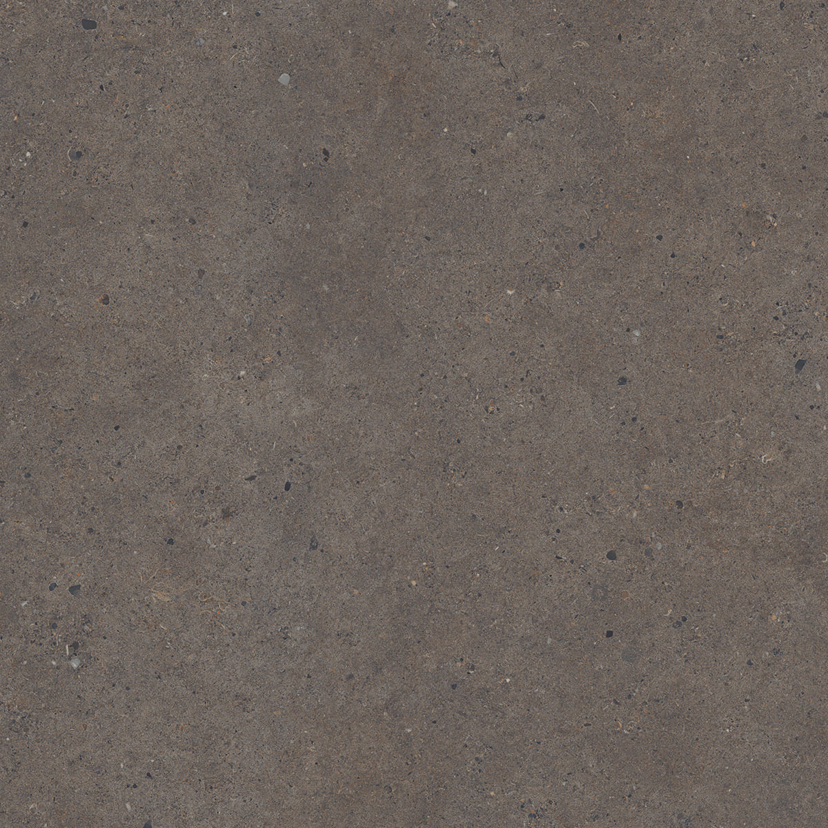 GẠCH TERRAZZO KHỔ LỚN Ý -ITALIA 120SILVER GRAIN DARK -TSPITL (120x120cm)