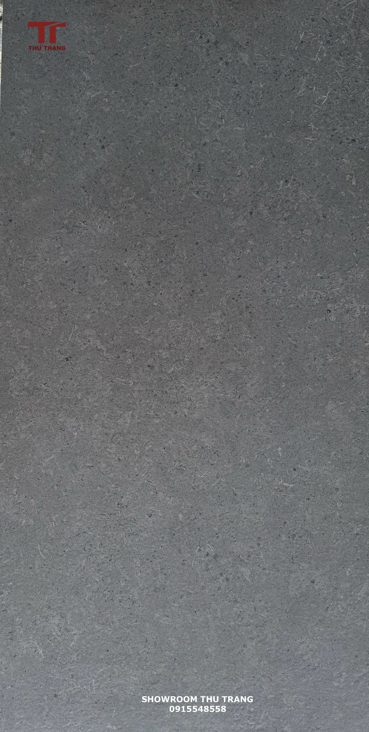 GẠCH VÂN XI MĂNG TRUNG QUỐC 612L27.VHCN (60X120CM)