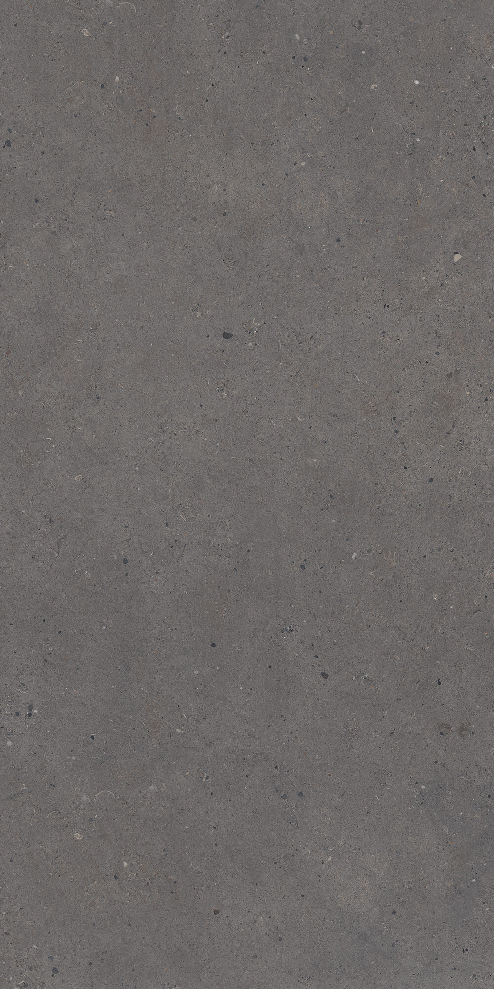 GẠCH TERRAZZO Ý -ITALIA 612SILVER GRAIN DARK.TSPITL ( 60x120cm)