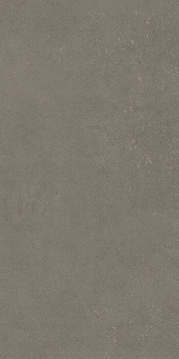 GẠCH VÂN XI MĂNG 36PGM0242TB (30X60CM)