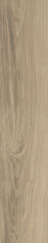 201010HN (Trung Quốc 20x100) (3)