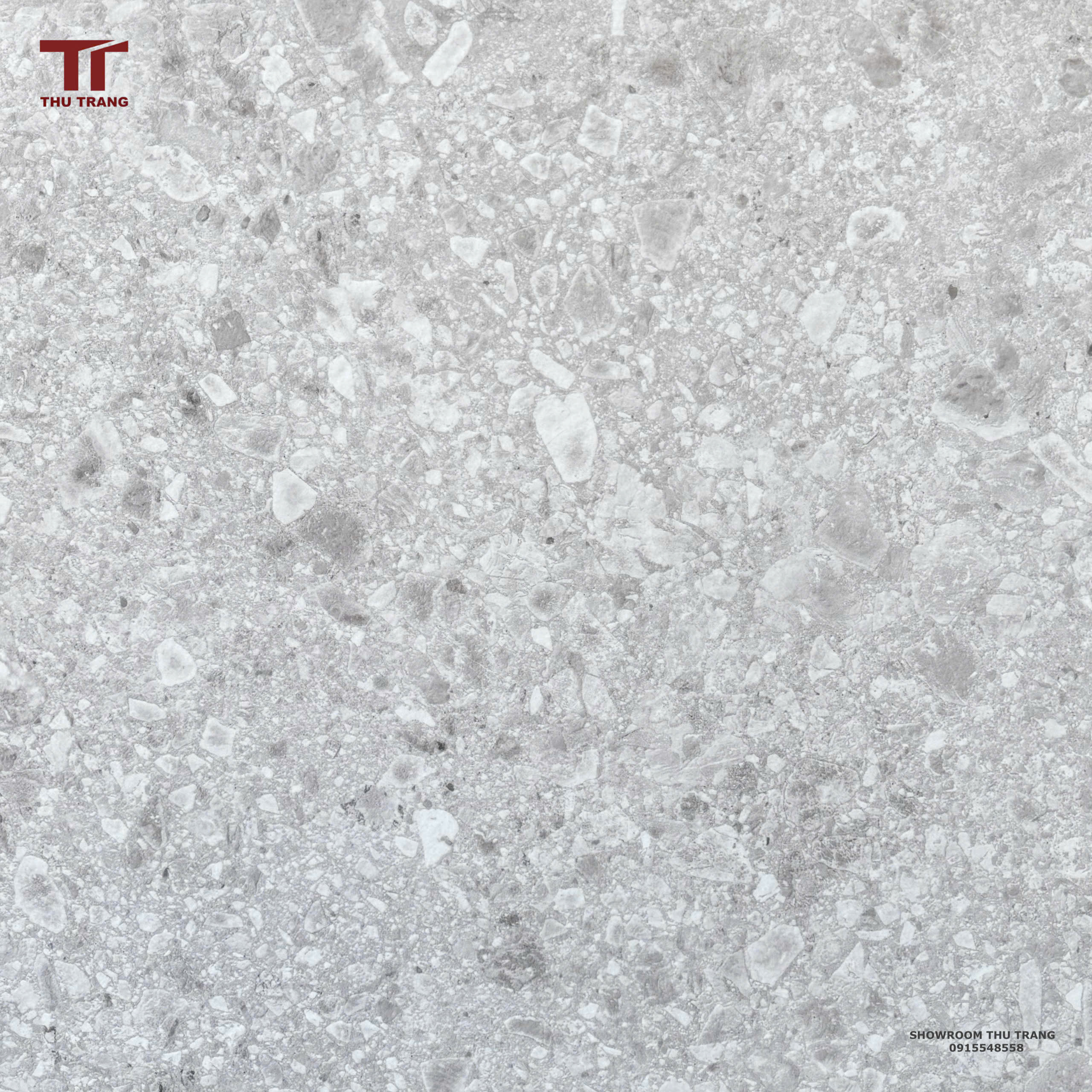 GẠCH TERRAZZO 6066255503SVCCTH (60X60CM)