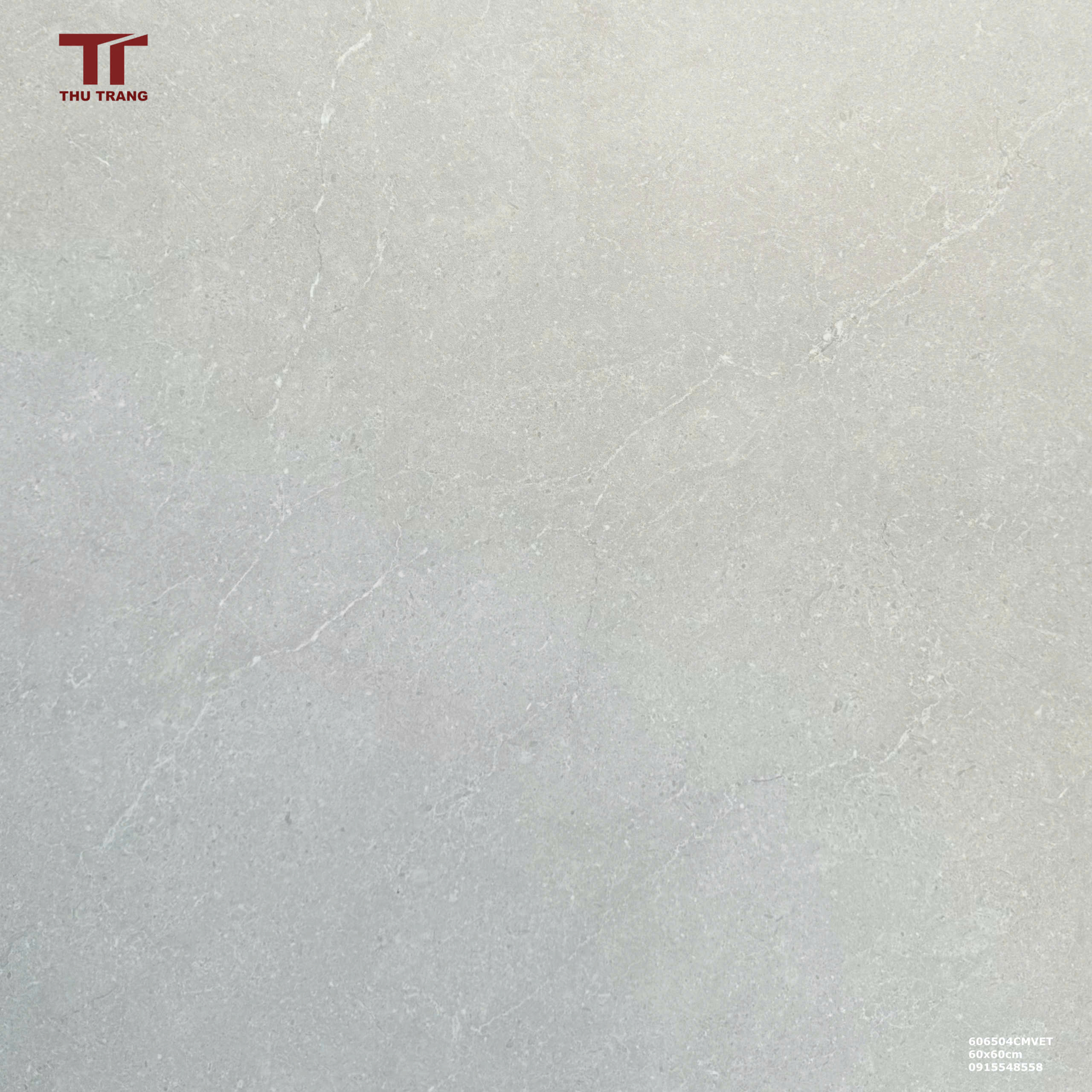 GẠCH VÂN ĐÁ 606504CMVET (60X60CM)
